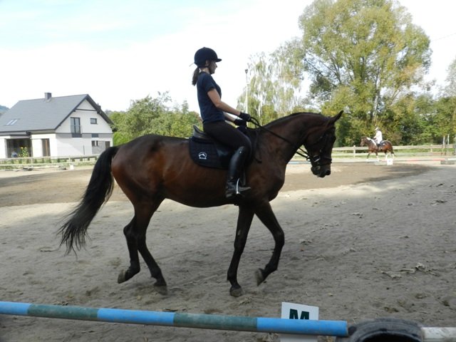 Babie Lato 2016